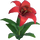 Dandelily Flower - Red.png