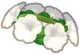 Petunia Flower Crown.png