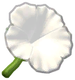 Petunia (icon)