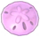 Sand Dollar.png