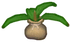 Bellbutton seedling (image)