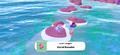 Coral Scouter-1.webp