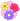 Flowers (Collection) Icon.png