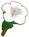 Hibiscus.png