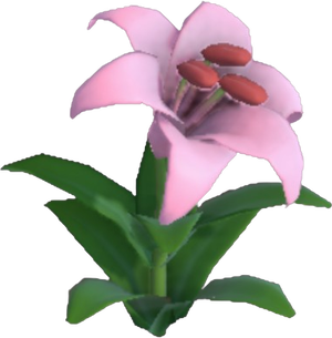 Dandelily Flower - Cool Pink.png