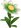 Penstemum Flower - Green and White Ombre.png