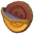 Chocolate Coin.png
