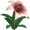 Dandelily Flower - Red and White Ombre.png