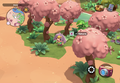 Player obtaining sakura from one of the trees in the Oasis.
