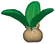 Tulias seedling (image)