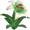 Dandelily Flower - Green and White Ombre.png