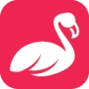 File:Pink Icon.webp